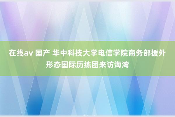 在线av 国产 华中科技大学电信学院商务部援外形态国际历练团来访海湾