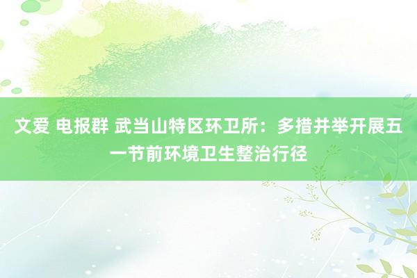 文爱 电报群 武当山特区环卫所:多措并举开展五一节前环境卫生整治行径