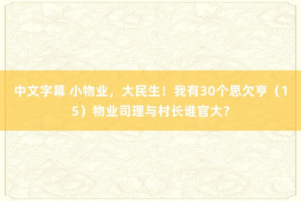 中文字幕 小物业，大民生！我有30个思欠亨（15）物业司理与村长谁官大？