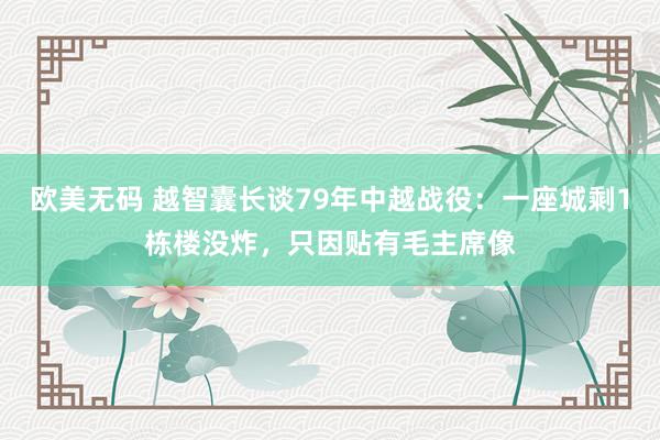 欧美无码 越智囊长谈79年中越战役：一座城剩1栋楼没炸，只因贴有毛主席像