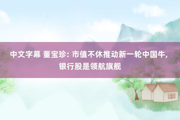 中文字幕 董宝珍: 市值不休推动新一轮中国牛， 银行股是领航旗舰