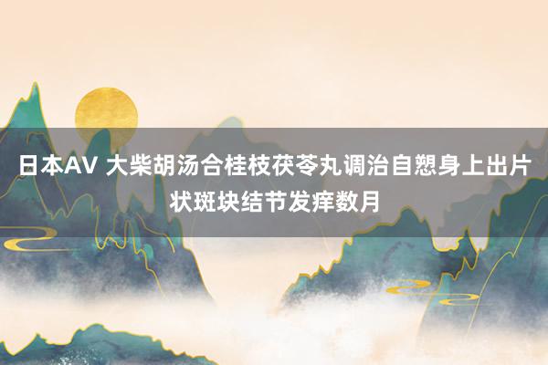 日本AV 大柴胡汤合桂枝茯苓丸调治自愬身上出片状斑块结节发痒数月