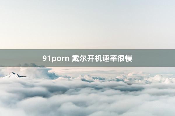 91porn 戴尔开机速率很慢