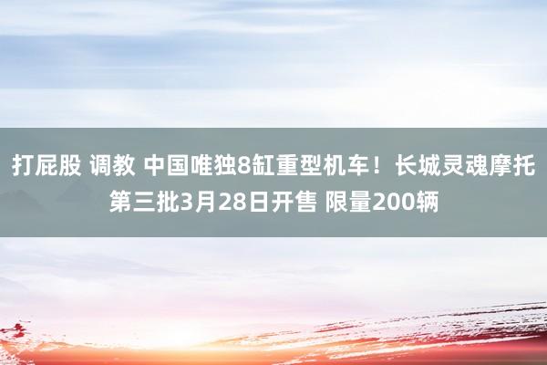 打屁股 调教 中国唯独8缸重型机车!长城灵魂摩托第三批3月28日开售 限量200辆